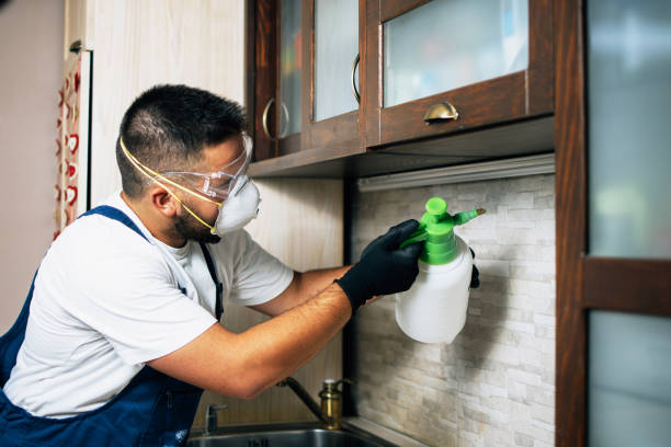 Best Commercial Pest Control Services  in Susanville, CA