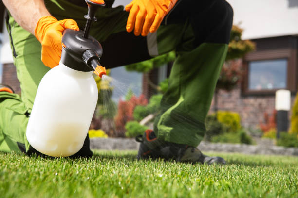 Wildlife Control Services in Susanville, CA
