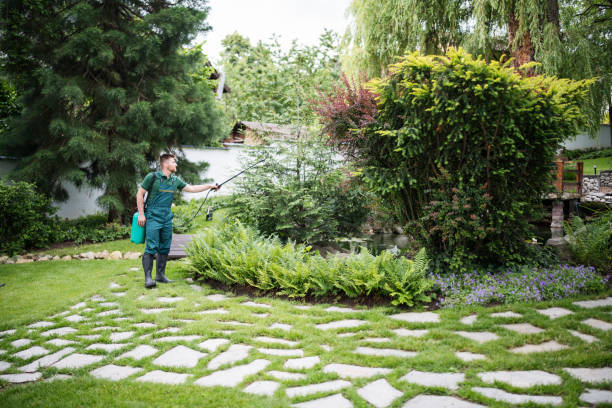 Best Cockroach Control Services  in Susanville, CA