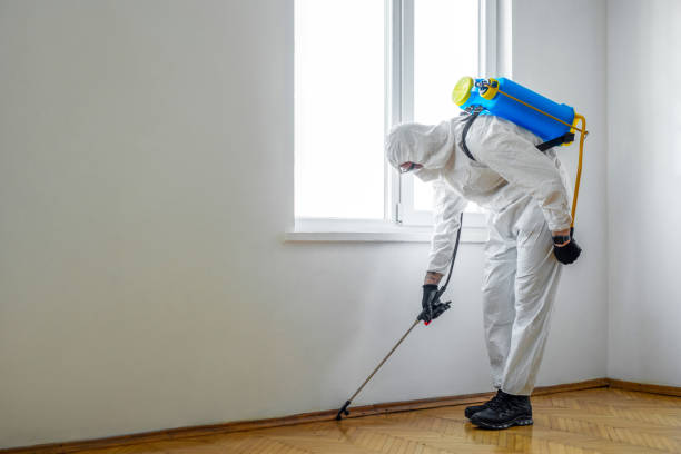 Pest Control for Restaurants in Susanville, CA
