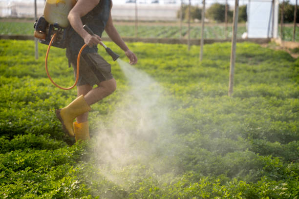 Best Affordable Pest Control Services  in Susanville, CA