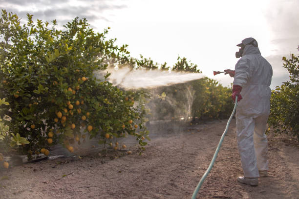 Best Mosquito Control Services  in Susanville, CA