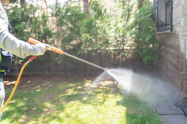 Best Bird Control  in Susanville, CA