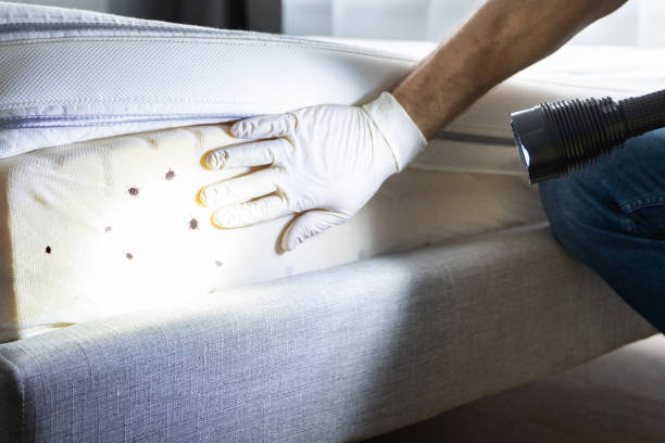 Best Pest Control for Restaurants  in Susanville, CA