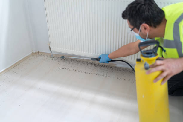 Best Exterminator Services  in Susanville, CA