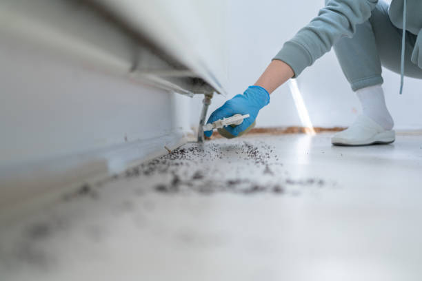 Best Flea Control Services  in Susanville, CA