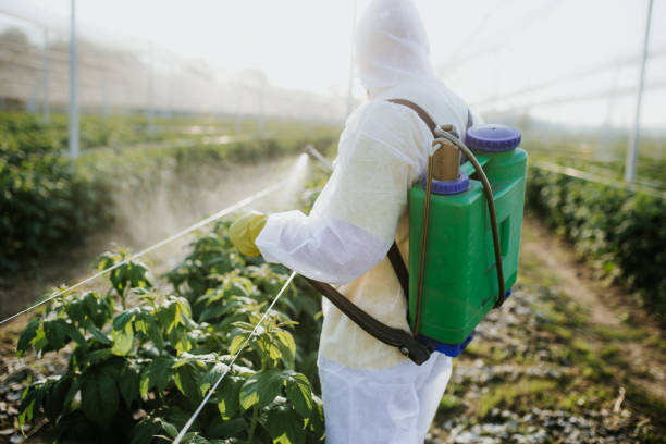 Best Pest Removal Services  in Susanville, CA